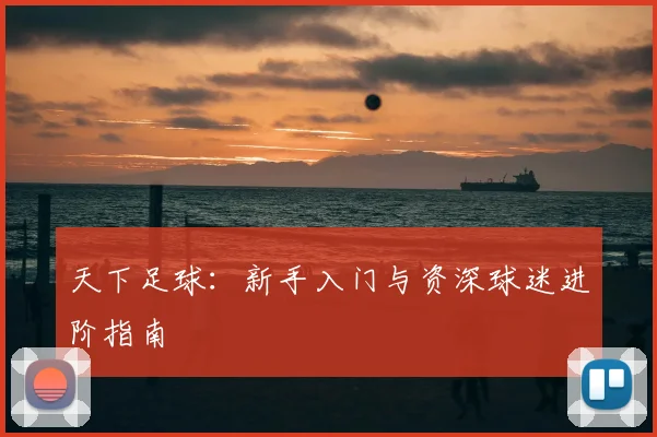 天下足球：新手入门与资深球迷进阶指南