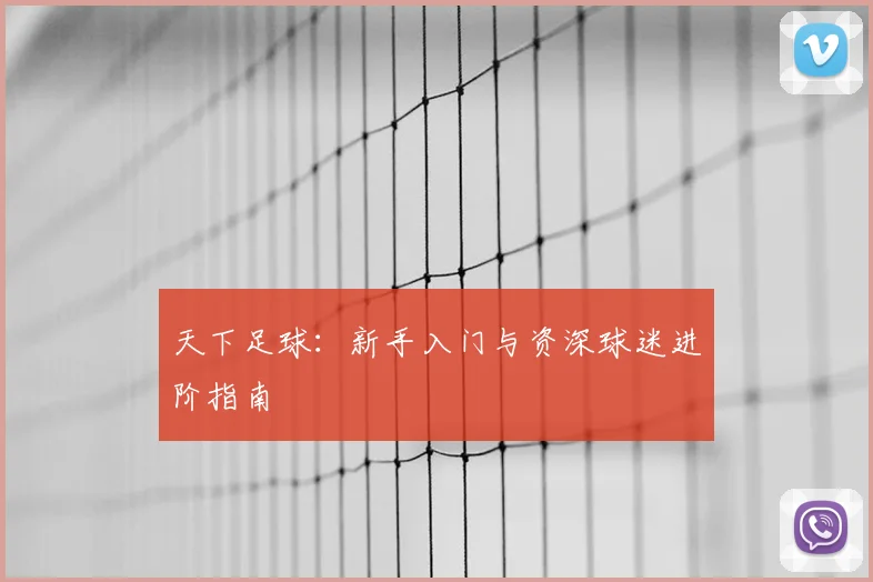 天下足球:新手入门与资深球迷进阶指南